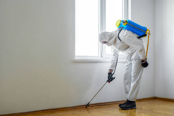 Wasp Removal Services in South Sumter, SC