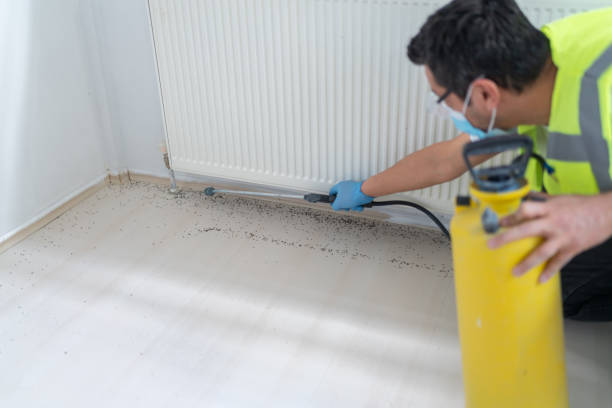 Best Cockroach Control Services  in South Sumter, SC